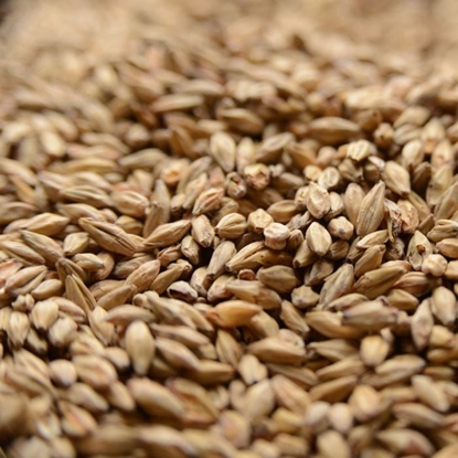 MALTS AND GRAINS - HONEY MALT