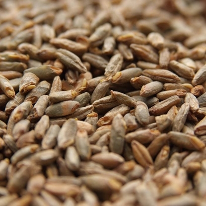 MALTS AND GRAINS - WEYERMANN-PALE-RYE MALT