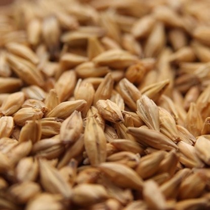 MALTS AND GRAIN - WEYERMANNS ACIDULATED MALT